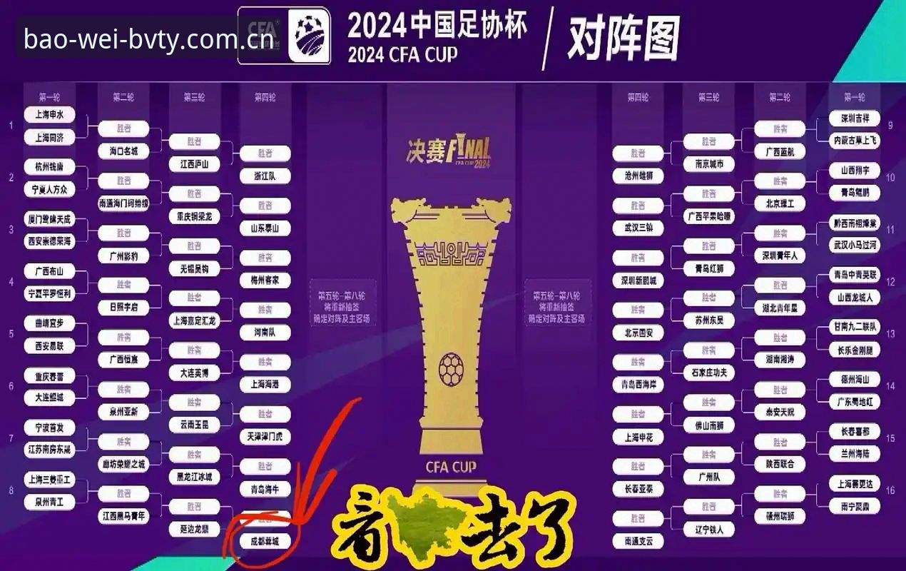 中国足协第三批禁足名单深度解析：宝威体育平台用户必看的赛事诚信实用指南